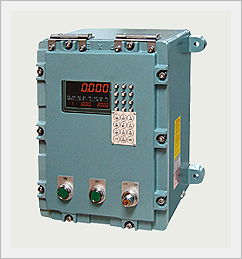 Explosion Proof Indicator